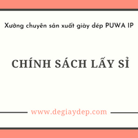 Chính Sách Lấy Sỉ
